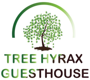 Tree hyrax guesthouse